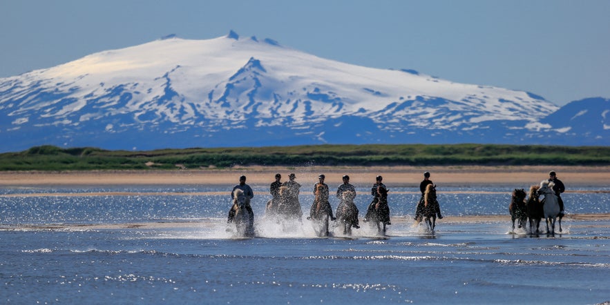 Horseback Riding in Iceland