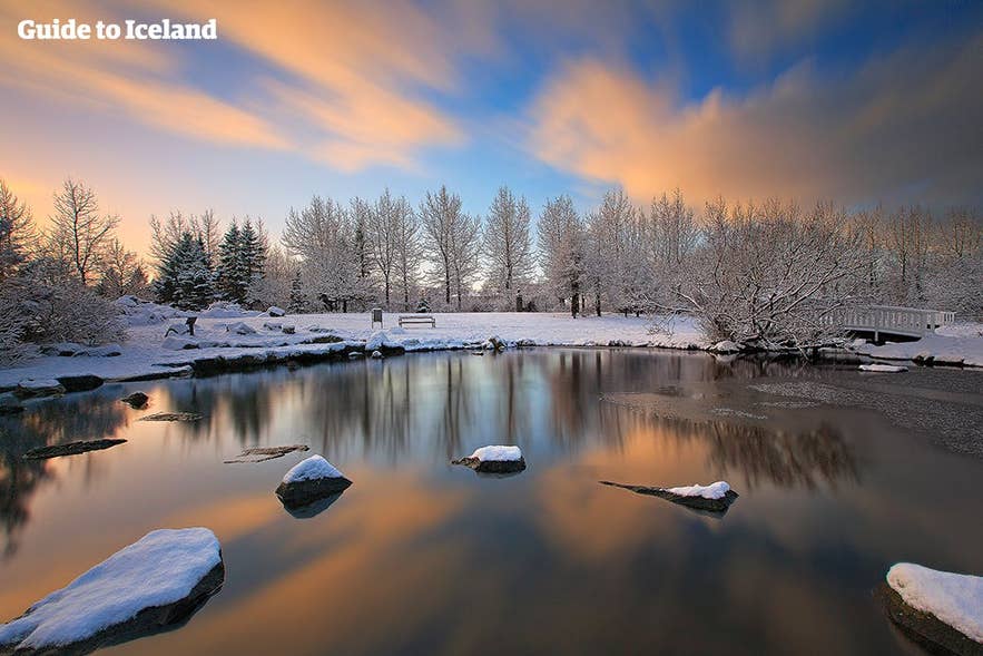 The botanical gardens, surrounded by ice, in Reykjavík in winter