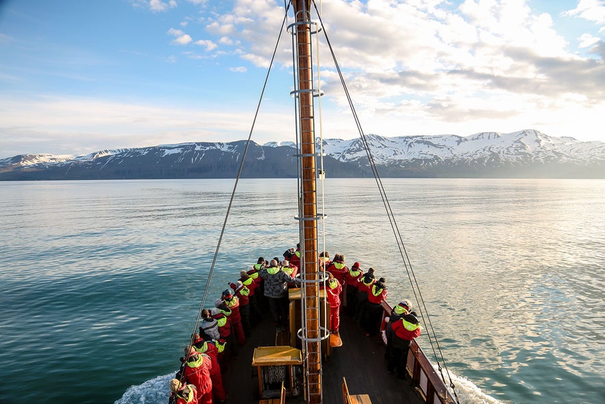 Whale Watching in Husavik