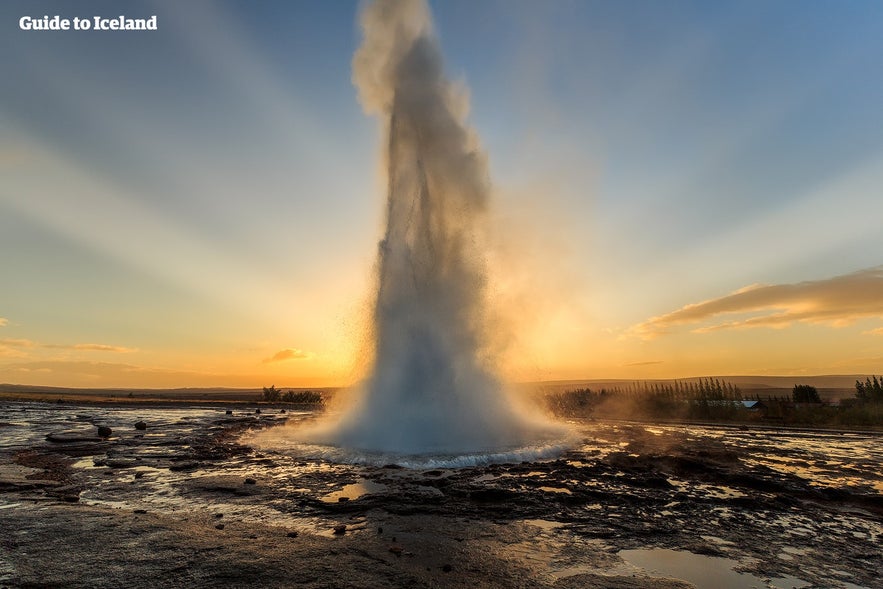 Geyser erupting in Iceland at sunset, sending a powerful column of hot water and steam into the sky over a geothermal field.