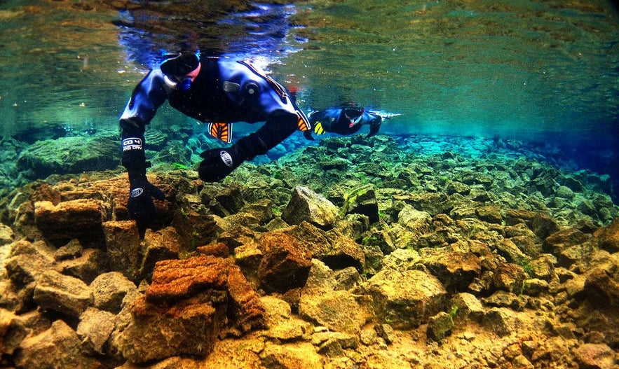 透視度100mを越えるシルフラの泉。まさに水中の絶景だ