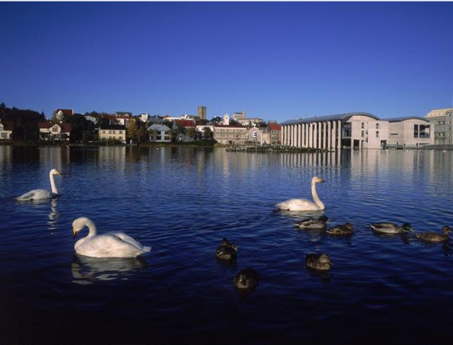 Tjornin pond in downtown Reykjavik, Iceland