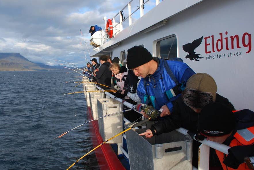 Enthousiaste vissers werpen hun hengel uit vanaf een walvissafariboot.
