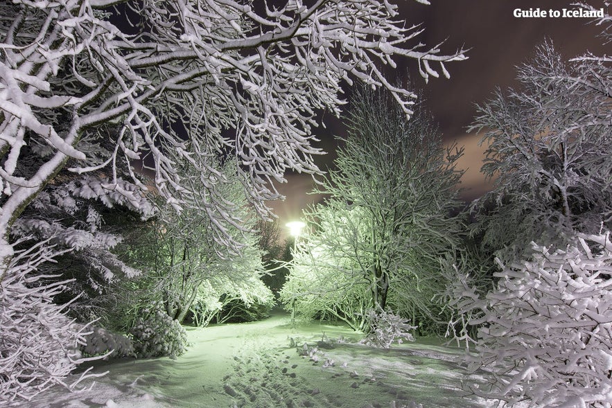 Reykjavik i snö