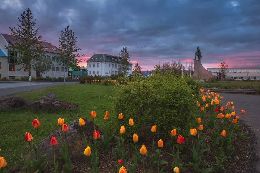 Eine Straße neben der Hallgrimskirkja-Kirche in Reykjavik, Island, mit der Leifur-Eiriksson-Statue, bunten Tulpen, einem grünen Rasen, dem Abendhimmel und Gebäuden im Hintergrund.