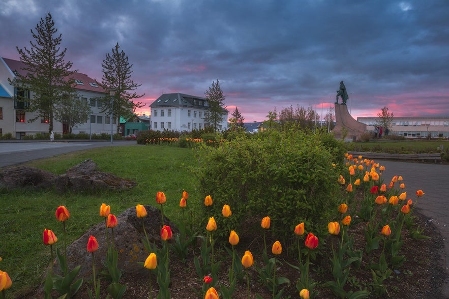 Street by Hallgrimskirkja church in Reykjavik, Iceland, with Leifur Eiriksson statue, colorful tulips, green lawn, sunset sky, and buildings in background.
