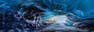 Crystal Cave Tours - Ice Cave & Glacier Hiking Tour Operator