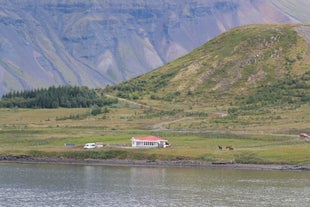 Hellnafell Guesthouse