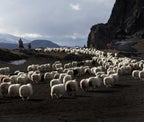 10 Iceland Movies And Documentaries Worth Watching