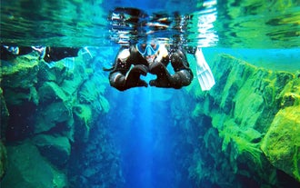 Snorkeltocht tussen Continenten in Silfra met Gratis Foto's & snacks
