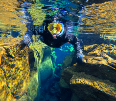 En person, som snorkler i Silfra-kløften iført en tørdragt og dykkerbriller i smukt, klart vand.