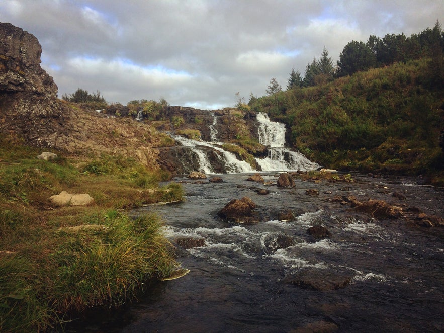 Das Tal Elliðaárdalur