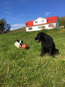 Ondolfsstadir Farm B&B