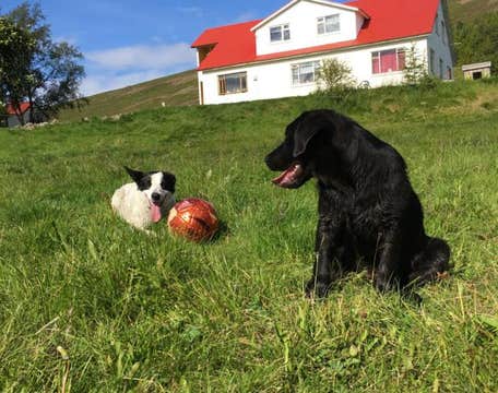 翁多尔夫斯塔迪尔农场住宿加早餐旅馆 | Ondolfsstadir Farm B&B