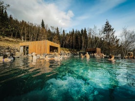 People bathe in the rejuvenating waters of the Forest Lagoon geothermal spa.