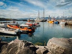 Boats in the Husavik harbor on a stunning day.