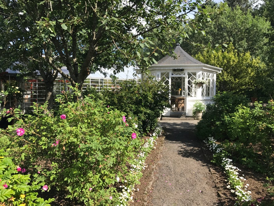 Der Park Laugardalur in Reykjavík