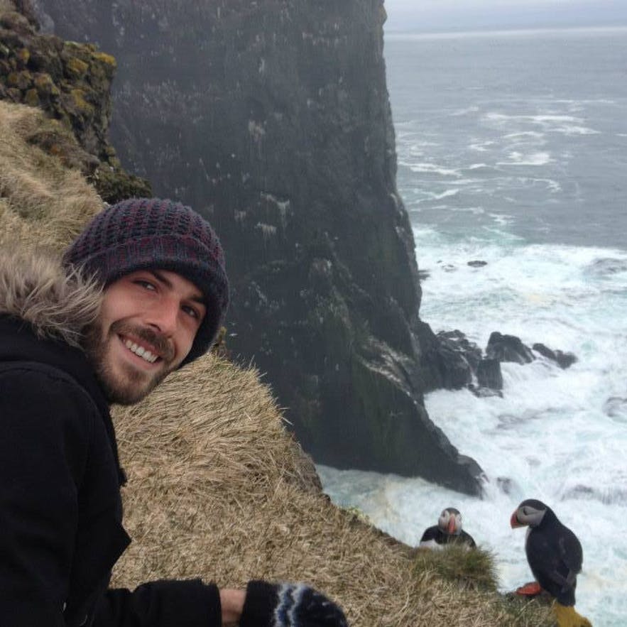 The puffins really are not that interested in people, unless they try to touch them