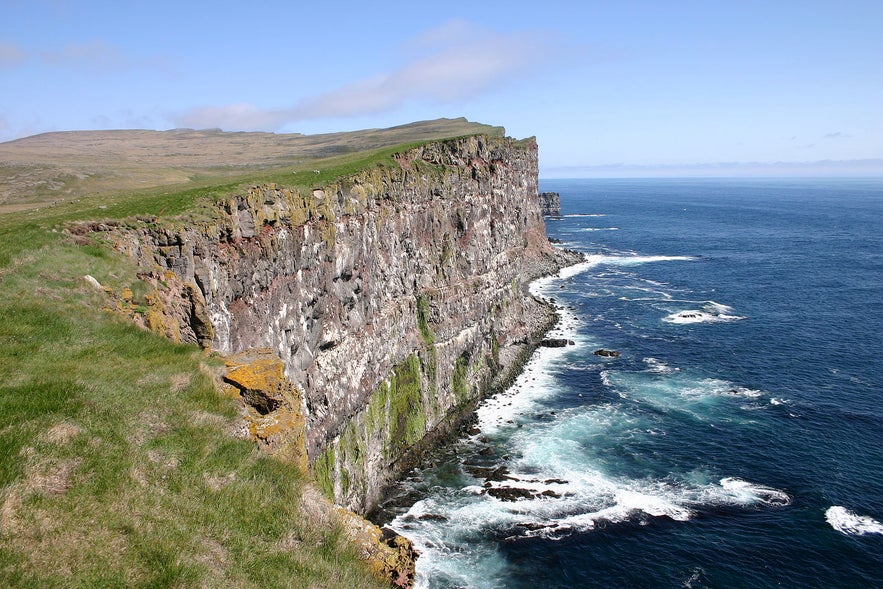 The Látrabjarg birdwatching cliffs