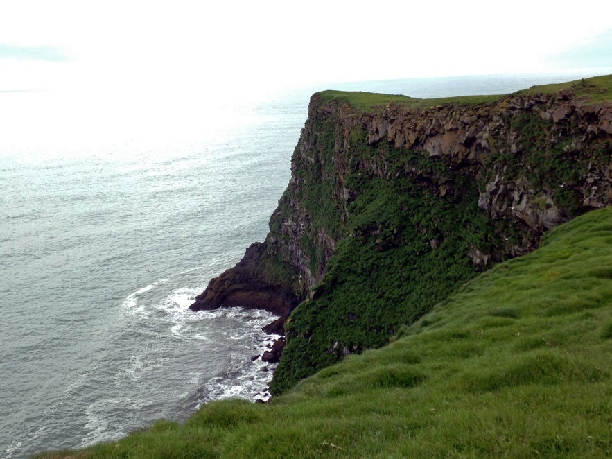 The cliffs at Ingólfshöfði