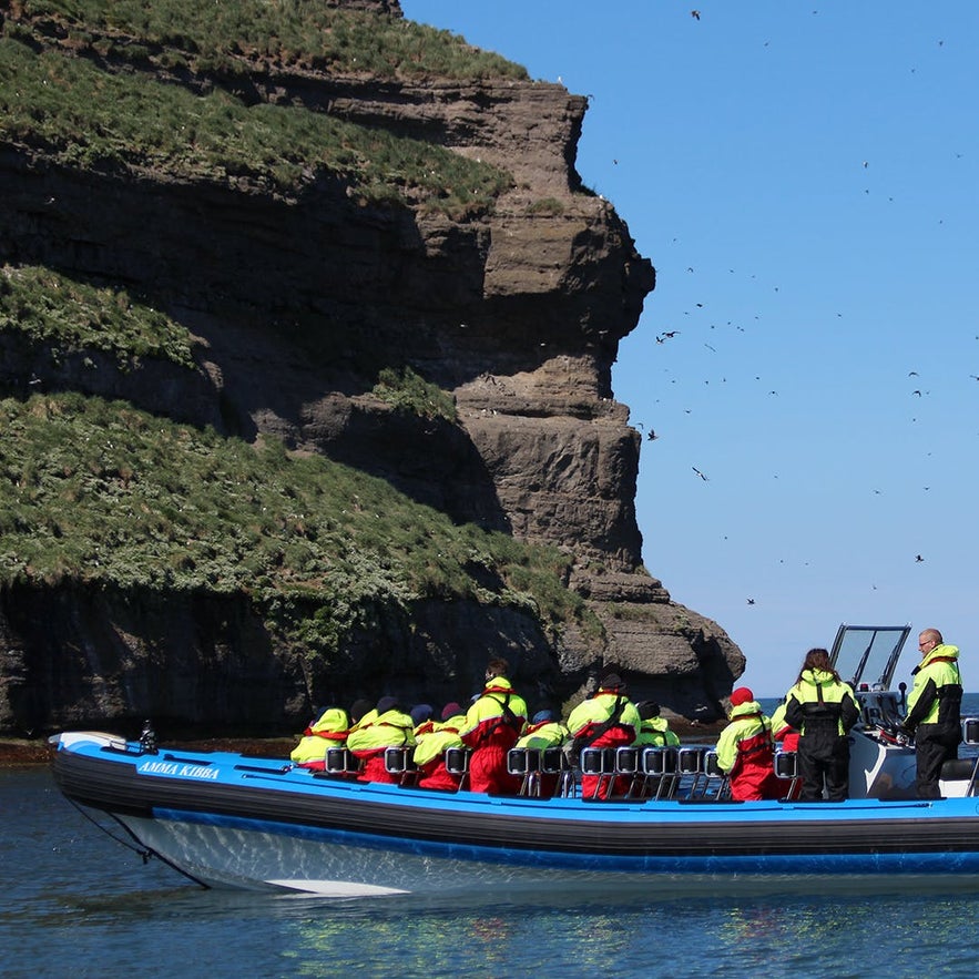 A group of tourists on a puffin boat tour in Iceland.