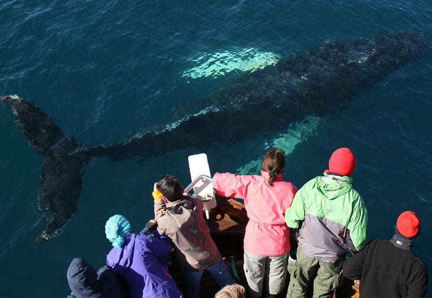 Make sure to dress up warm for your boat trip; standing on deck can get chilly!