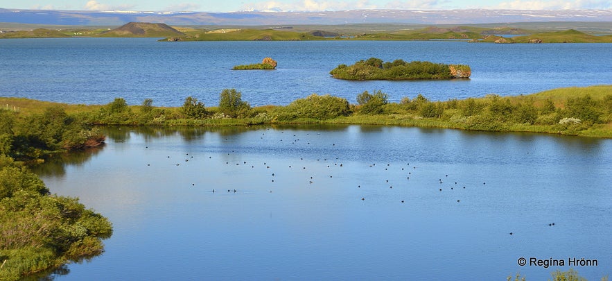 Lake Mývatn