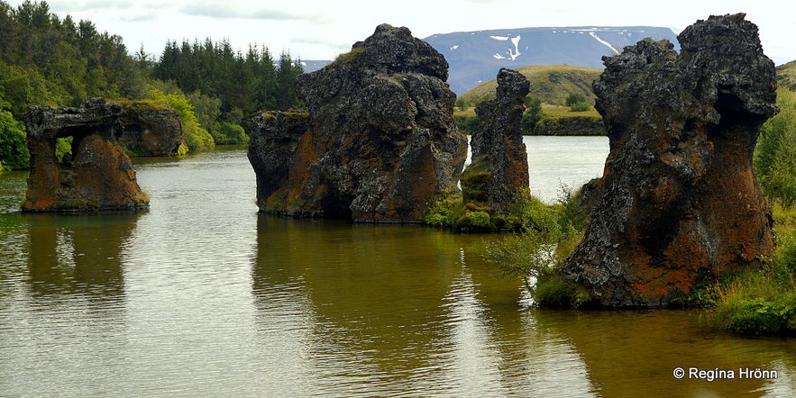 Kálfaströnd Lake Mývatn