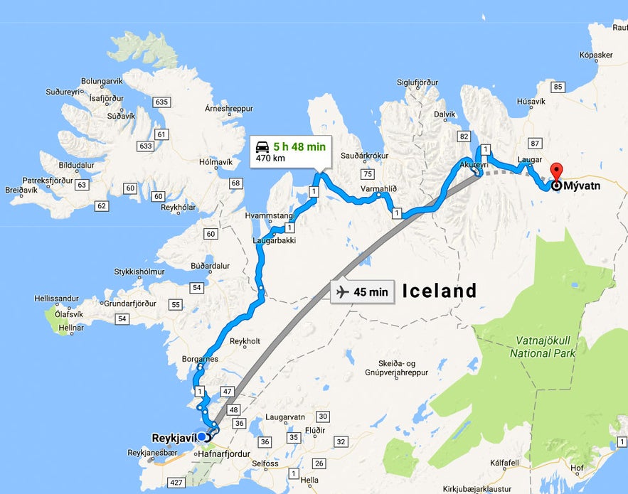 The Sigurgeir's Bird Museum at Mývatn - Breeding Birds in Iceland