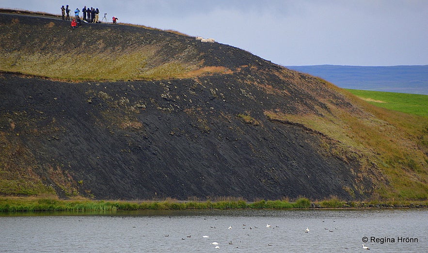 Skútustaðir pseudo craters in the Mývatn area in northeast Iceland