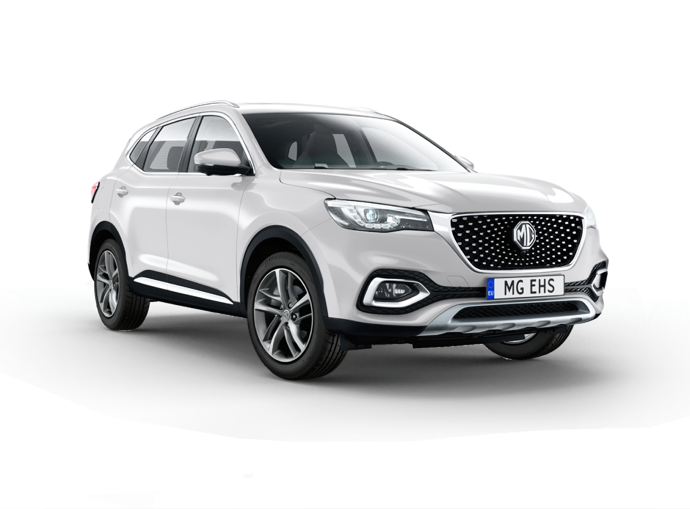 MG EHS 2023.png