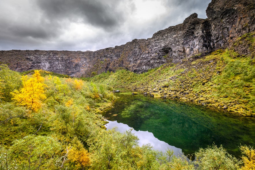 Ásbyrgi Canyon in North Iceland