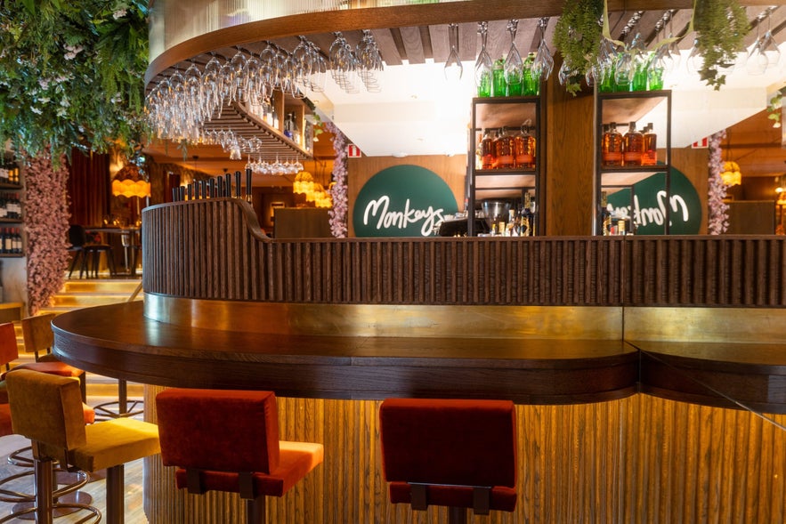 Monkeys kan hittas i hjärtat av Reykjavik.