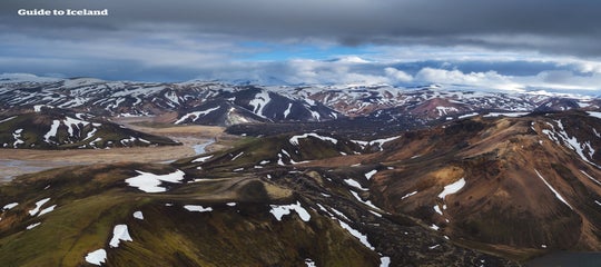 The Arctic Fox | A Tale of Iceland's Only Native Mammal