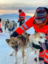 Smiling musher pets huskies during a husky dog sledding Iceland tour near Reykjavik.