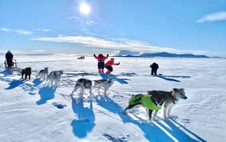 Resenärer åker över snötäckta slätter på en hundspannstur med huskies nära Reykjavik, Island.