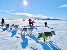 Travelers riding across snowy plains on a husky dog sledding tour near Reykjavik, Iceland.