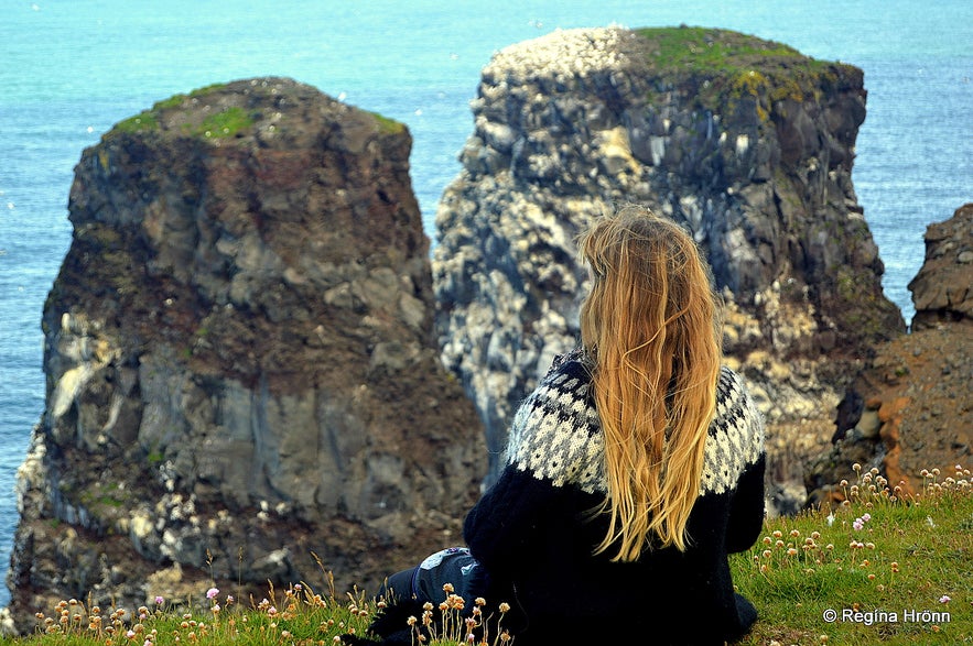 Regína admiring the sea-stacks at Rauðinúpur