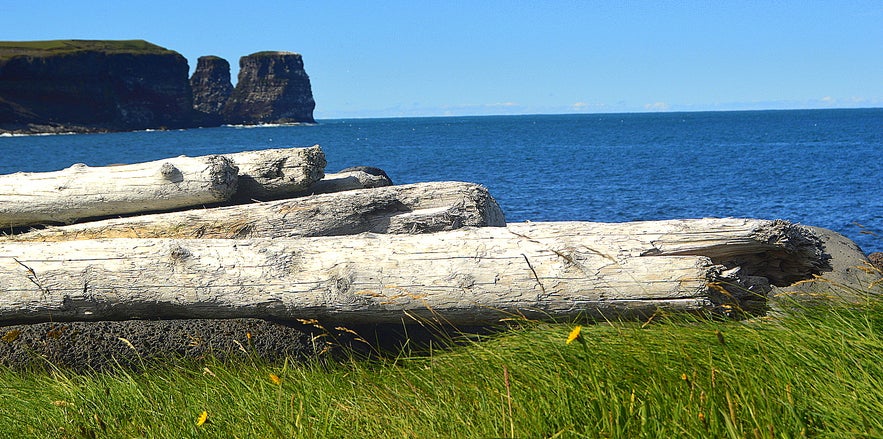 Hiking to Rauðinúpur cape NE-Iceland