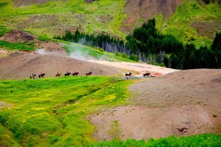 Icelandic horses travelling through Reykjadalur Valley.