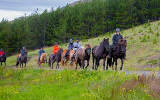 Tute termiche e caschi sono forniti per il tuo tour a cavallo in Islanda.