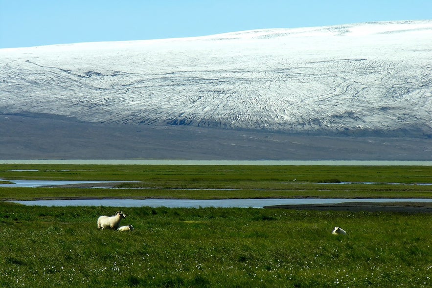 Hvítarvatn is magnificent, but has few icebergs.