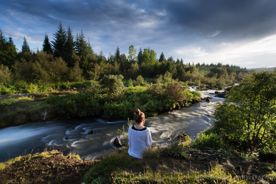 Ellidaardalur Valley is one of the secret spots and hidden gems in Reykjavik, known for its peaceful riverside views and green trails.