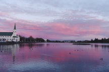 Rejseguide til Reykjavík