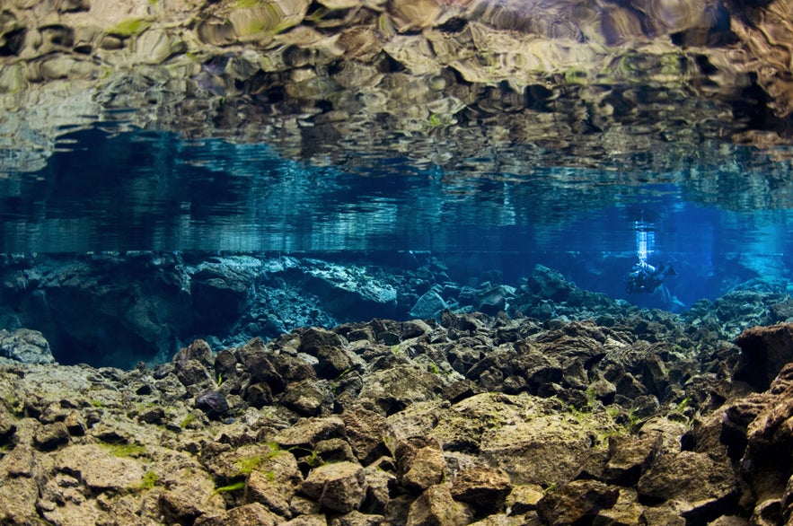 Błękitna woda w szczelinie Silfra w Parku Narodowym Thingvellir.