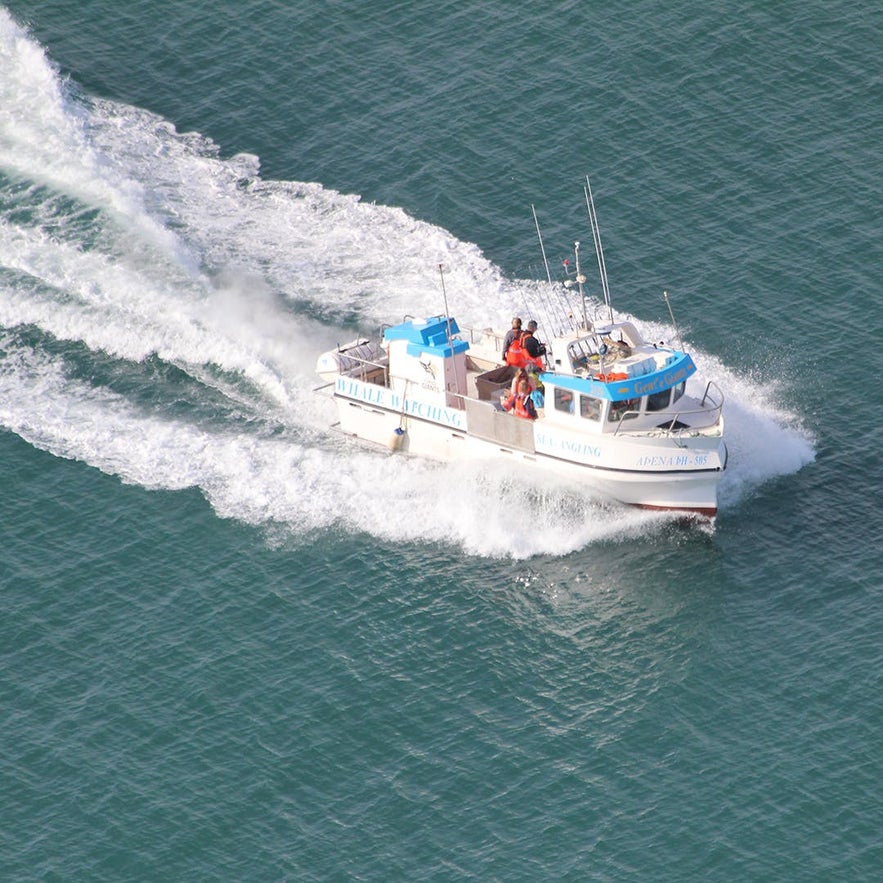 An angling tour out from Húsavík.