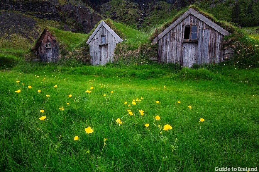 Not too long ago, most Icelanders resided in turf houses such as these