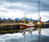 Hauganes is one of the prime whale watching locations in Iceland