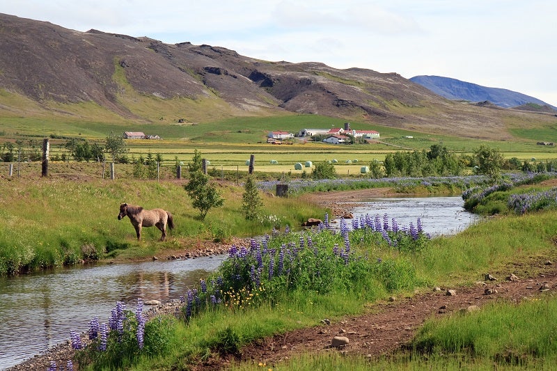 冰岛大雷克雅未克首都地区的Mosfellsdalur山谷，通往辛格维利尔国家公园