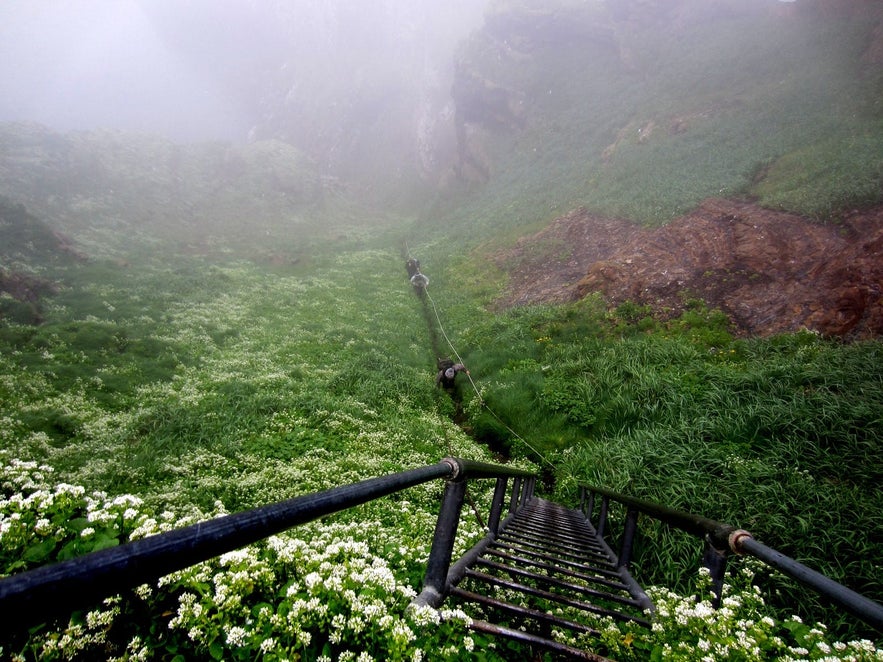 The ladder, rope and chain leading up to the top of Drangey's cliff